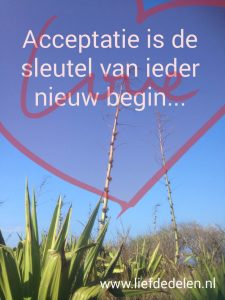 acceptatie