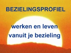 bezielingsprofiel