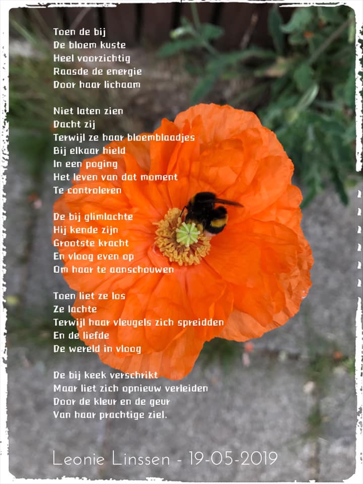 Bij En Bloem Gedicht Van Leonie Linssen Liefde Delen