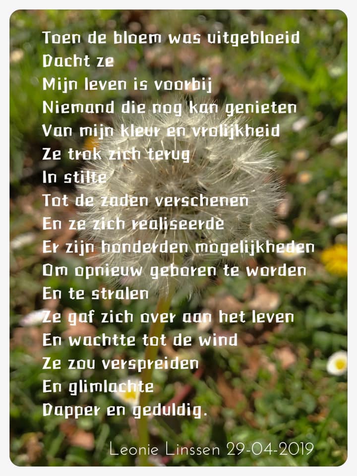 Uitgebloeide Bloem Of Nieuw Begin Gedicht Liefde Delen