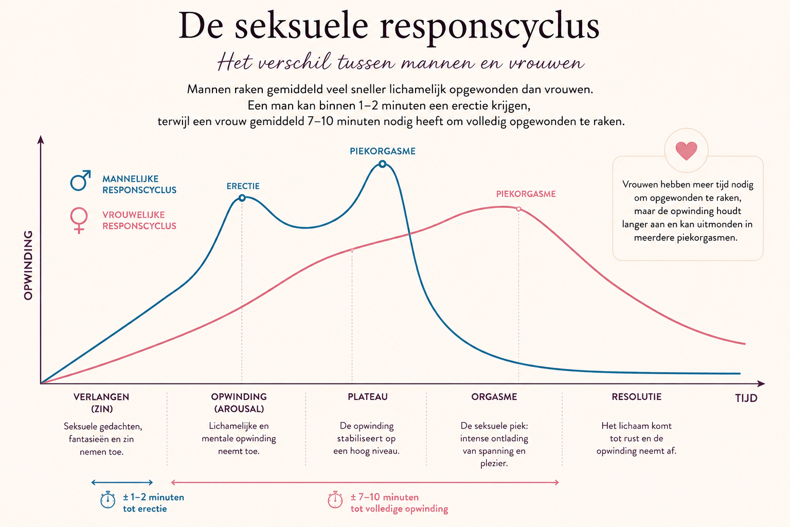 seksuele responscyclus mannen en vrouwen